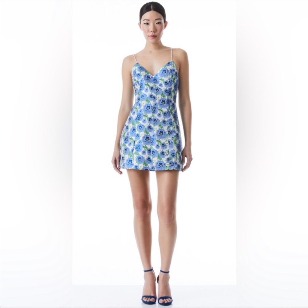 Alice + Olivia Taylor dress
